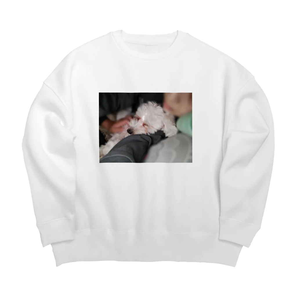 FUJIMARU's × NECODOMOのふじまる(エモい) Big Crew Neck Sweatshirt