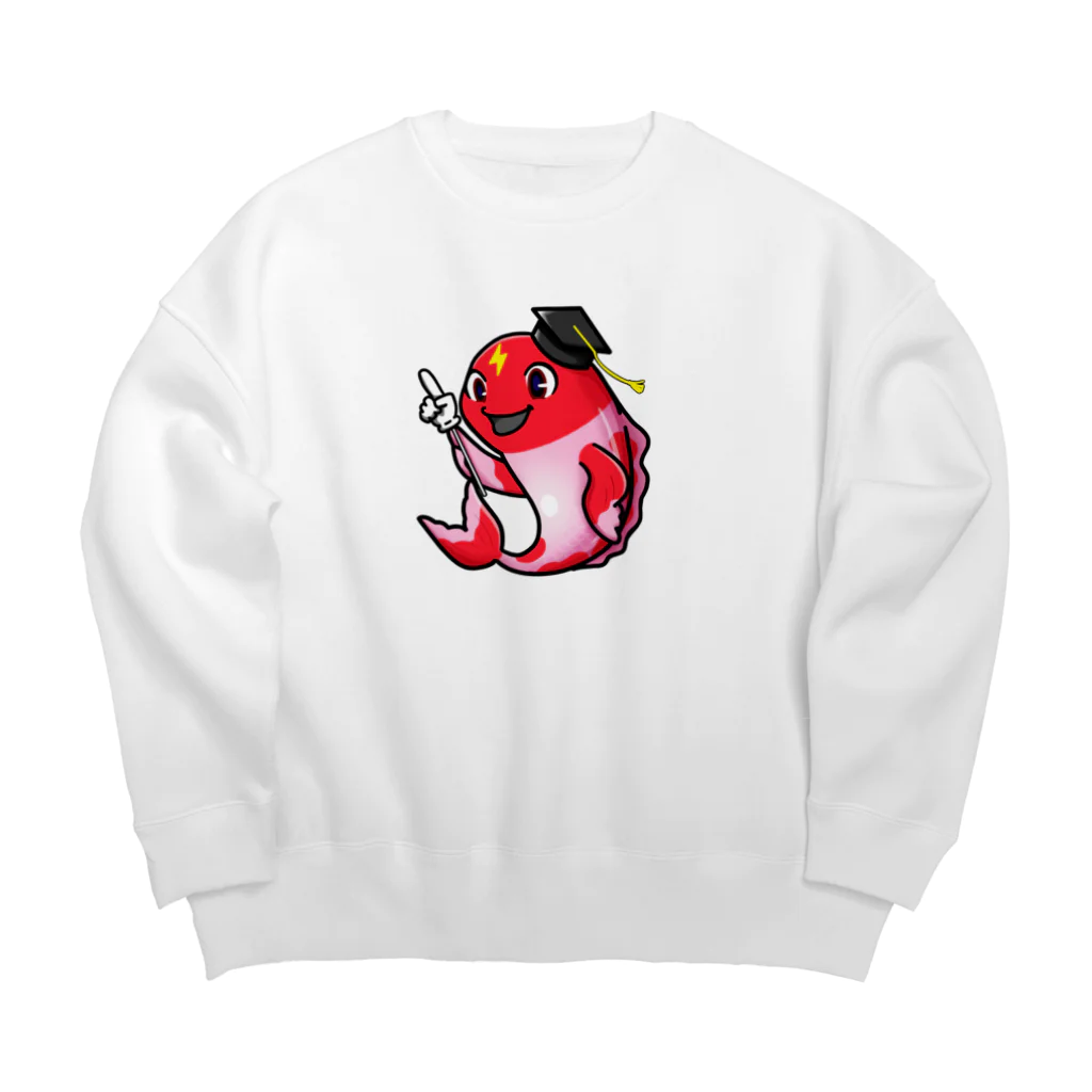 プラズマコイのプラズマコイ Big Crew Neck Sweatshirt