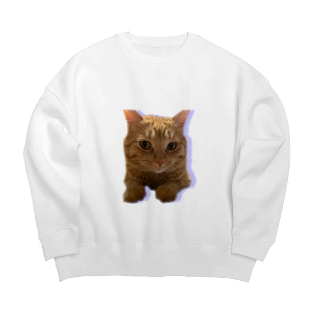 めんけ猫。の我が家の猫くんです。 Big Crew Neck Sweatshirt