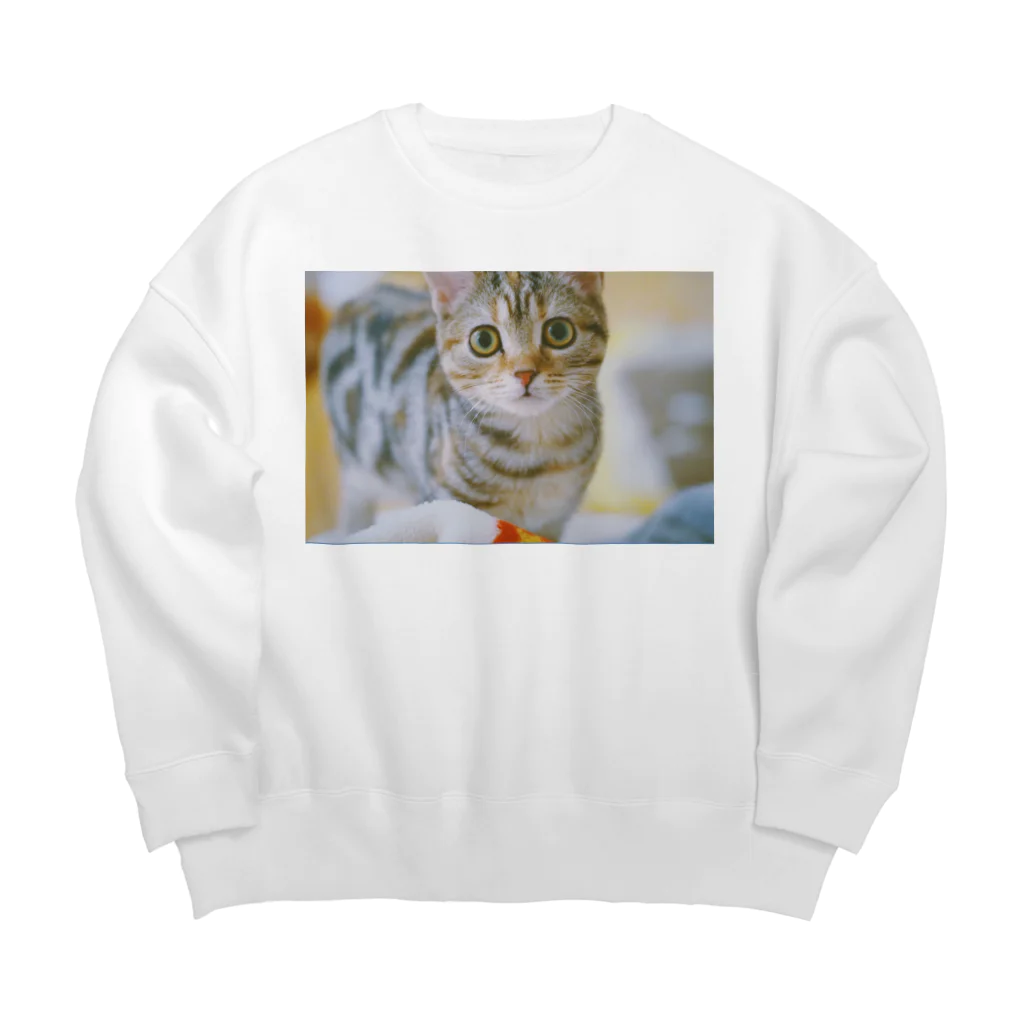 34のかわいい Big Crew Neck Sweatshirt