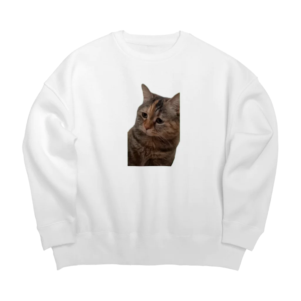 猫ミームグッズの【猫ミーム】叱られる猫 Big Crew Neck Sweatshirt