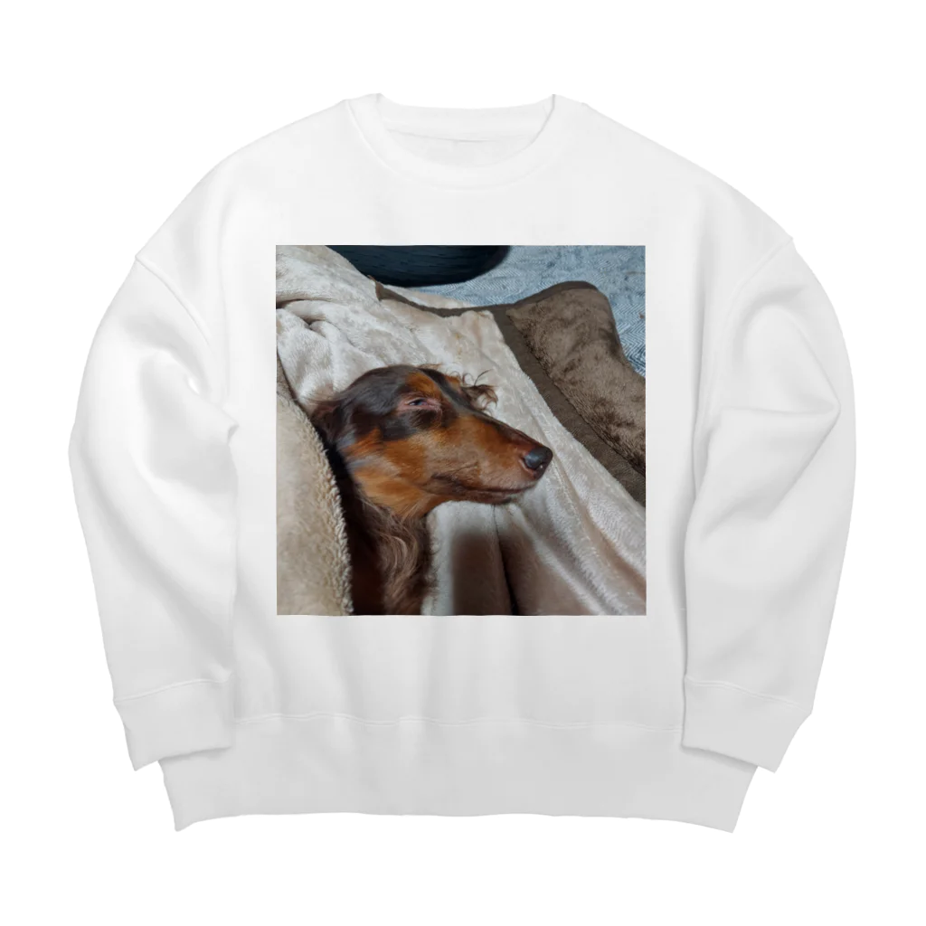 ドリームズの爆睡 Big Crew Neck Sweatshirt