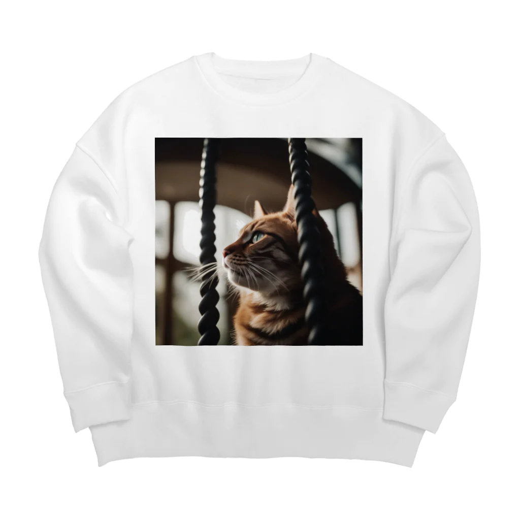 feliceのタワーに登っている猫 Big Crew Neck Sweatshirt