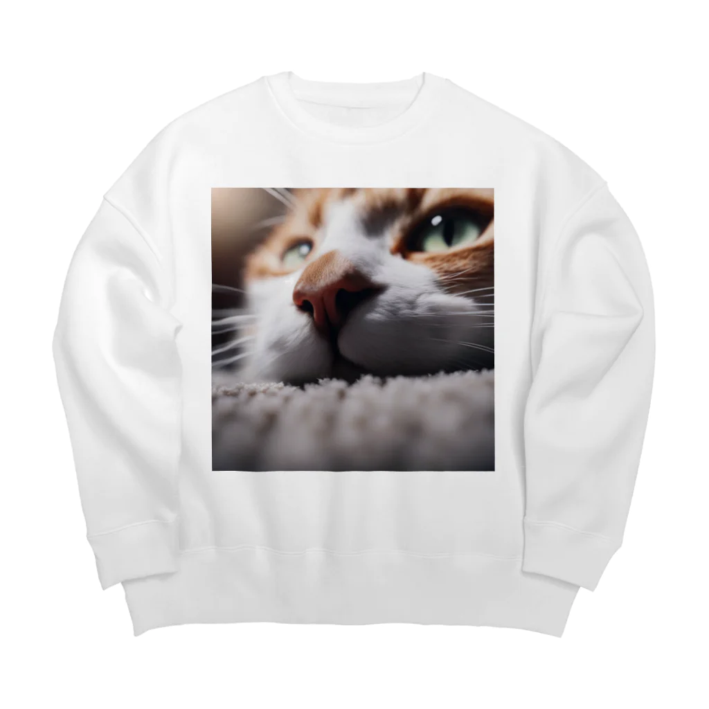 feliceのカーペットでごろんとする猫 Big Crew Neck Sweatshirt