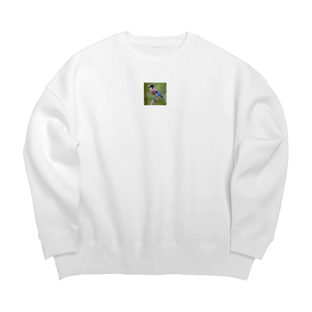 tyawankoのかわいいルリカケス Big Crew Neck Sweatshirt