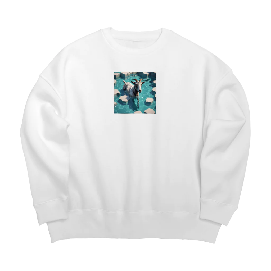 かてこの洋服販売所のWater goat 2 Big Crew Neck Sweatshirt