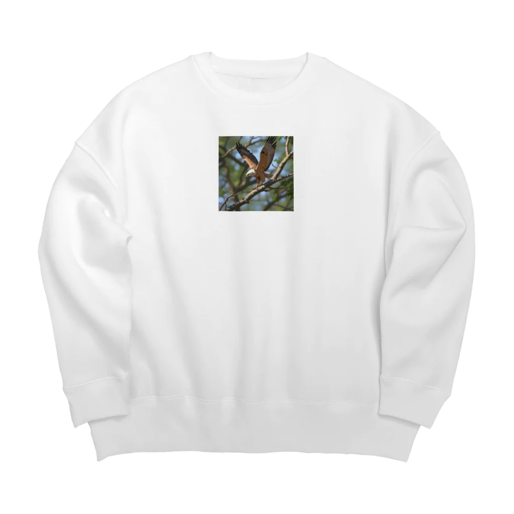 ganeshaの枝から枝へ移動するタカ Big Crew Neck Sweatshirt