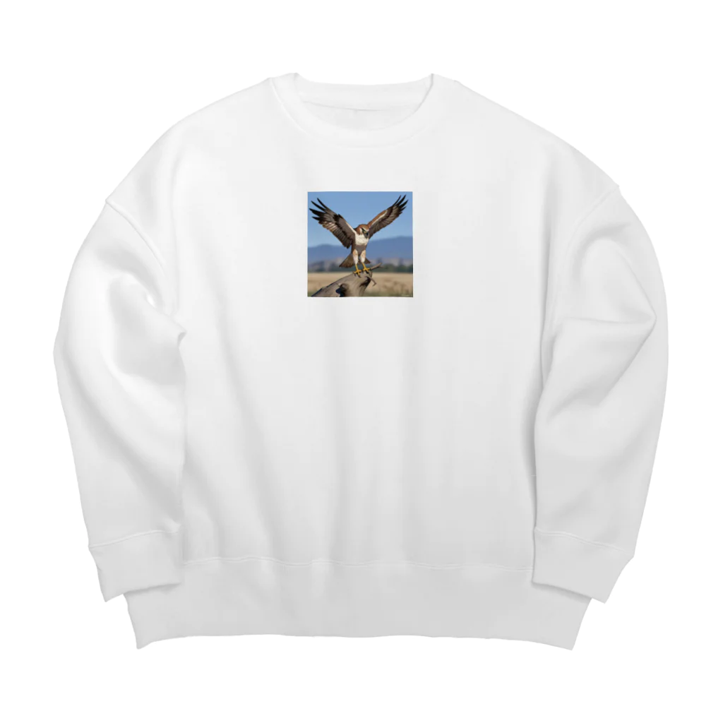 ganeshaの離陸準備中のタカ Big Crew Neck Sweatshirt