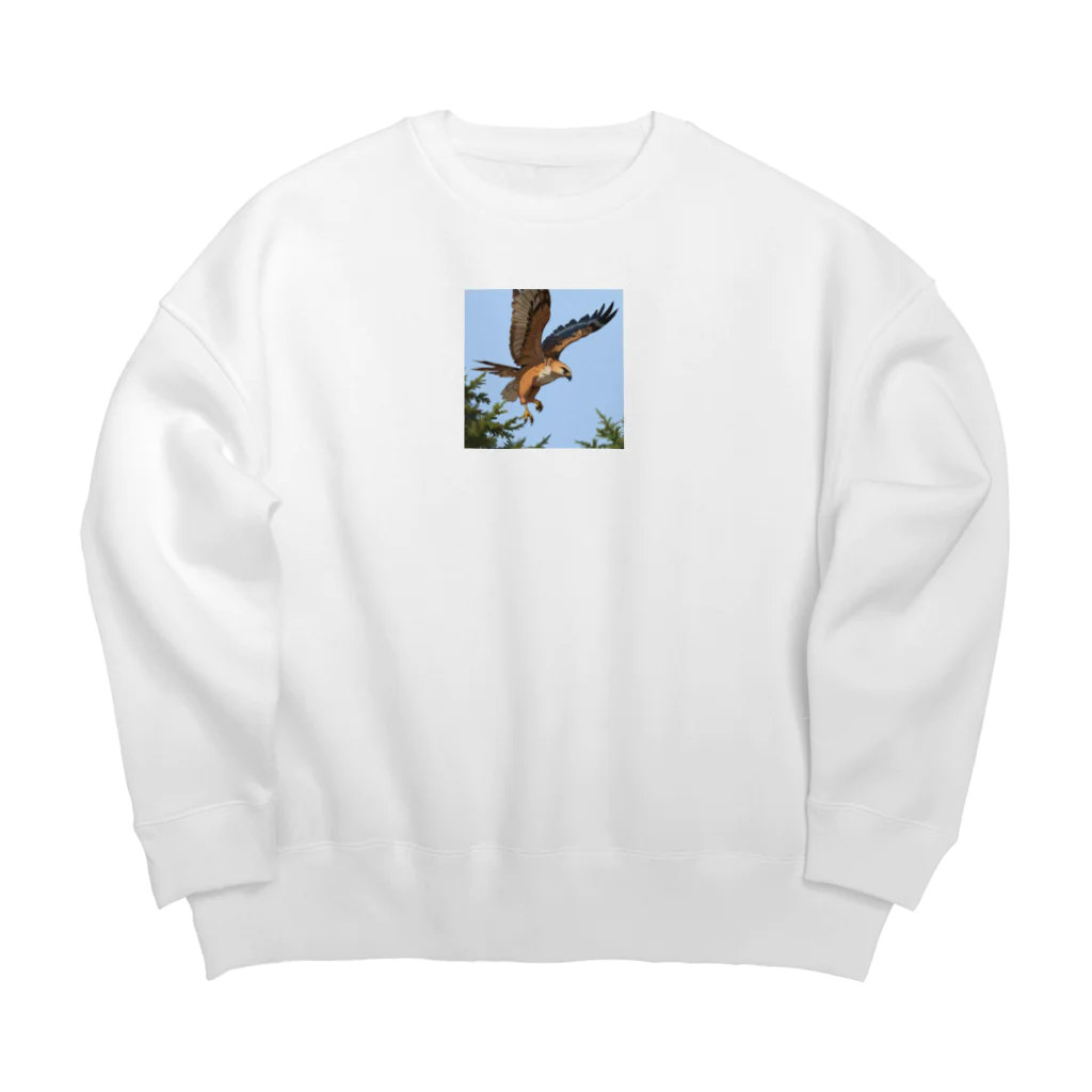 ganeshaの鳥の羽ばたきに続く鷹 Big Crew Neck Sweatshirt