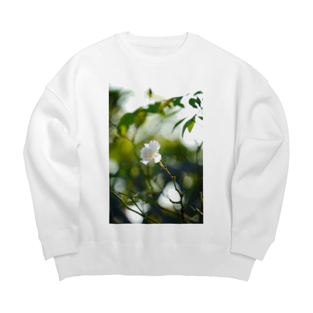 capture hidamariのflower capturing 1 Big Crew Neck Sweatshirt