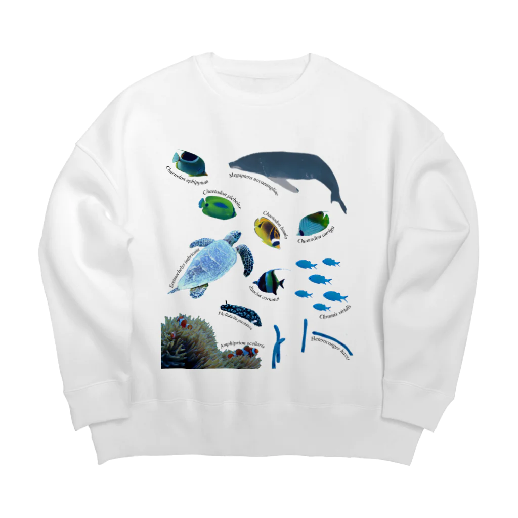 L_arctoaの沖縄の海の生き物 Big Crew Neck Sweatshirt