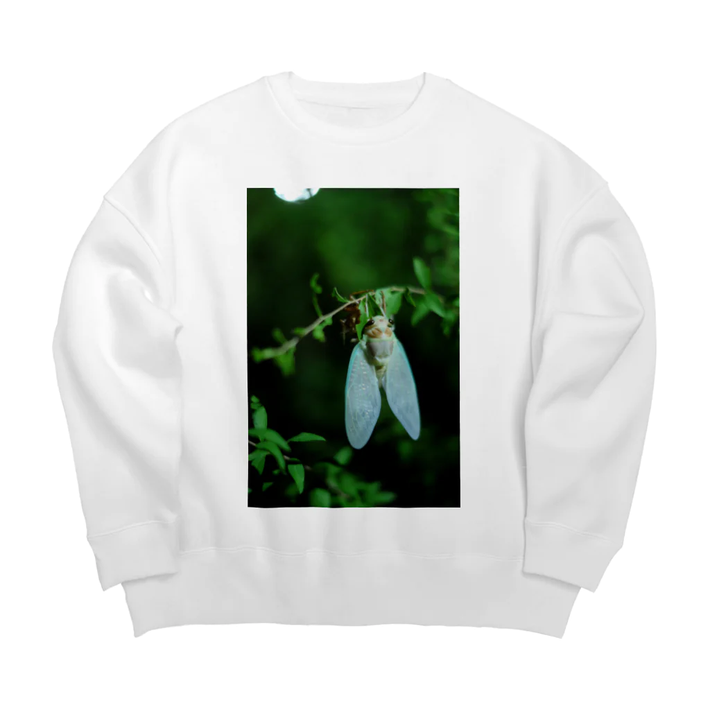 Su Shopのセミ Big Crew Neck Sweatshirt