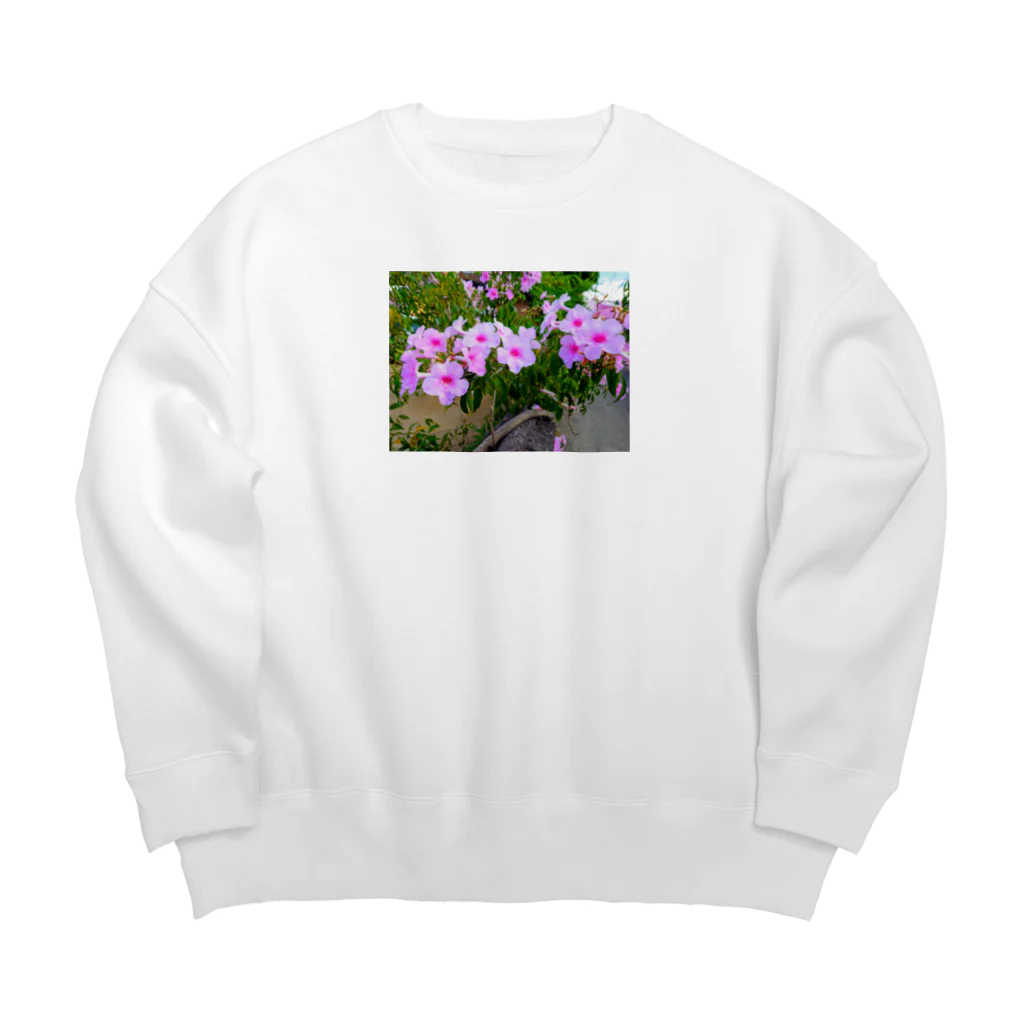 終わらない夢🌈の実写シリーズ【初夏の美しい花🌸】 Big Crew Neck Sweatshirt