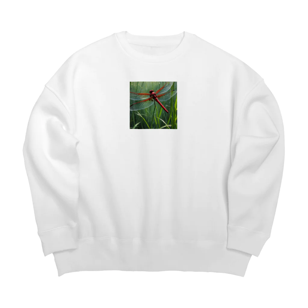 Sunbathingのススキの葉に隠れる赤トンボ Big Crew Neck Sweatshirt