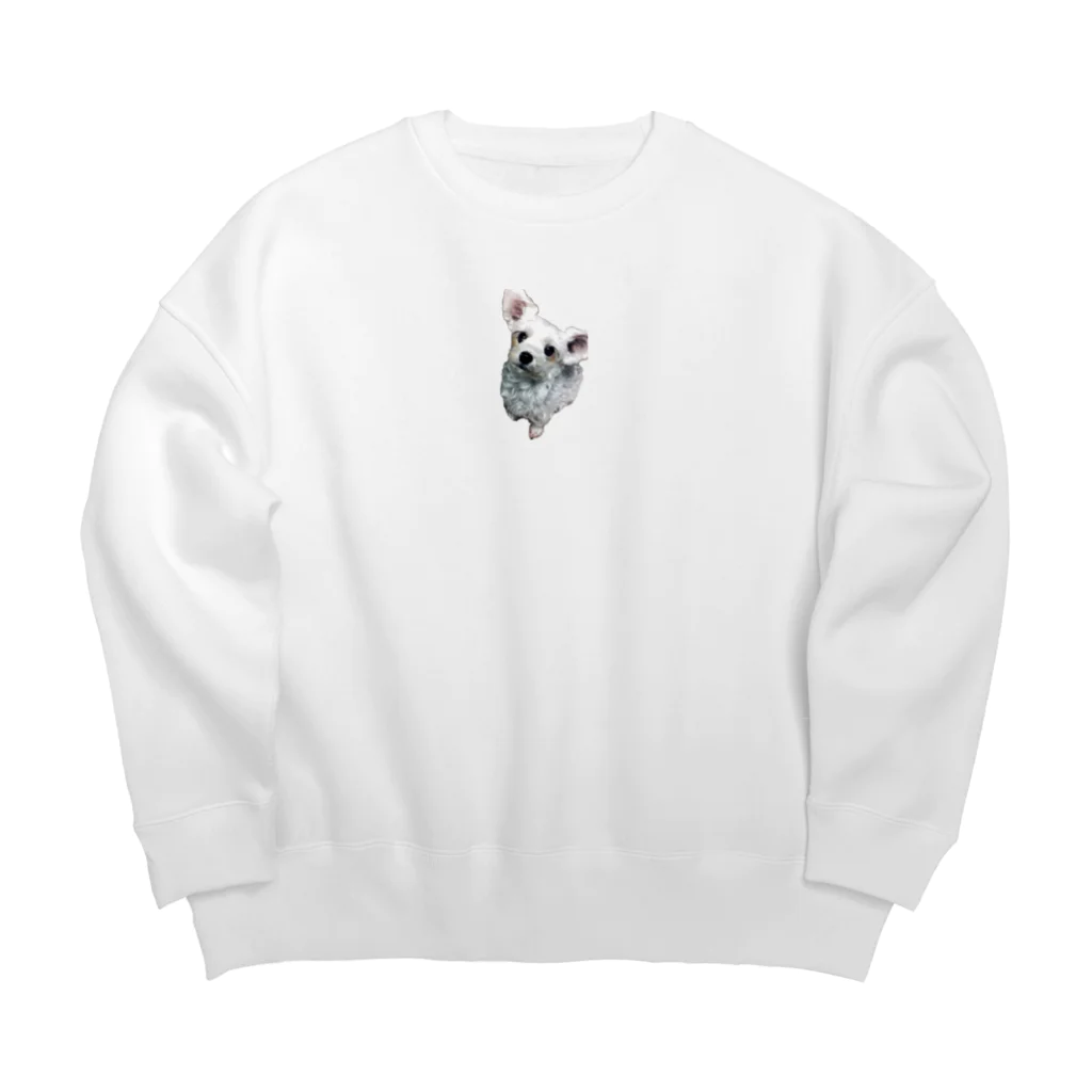 ぷりぷり飯店ヌーイーのソラまるぐーっずver2 Big Crew Neck Sweatshirt