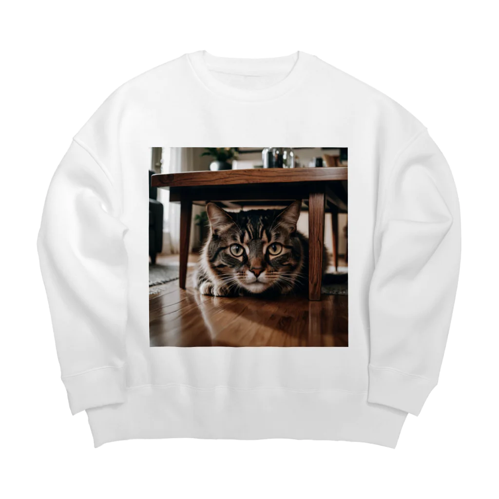 zigerparkの隠れる猫 Big Crew Neck Sweatshirt