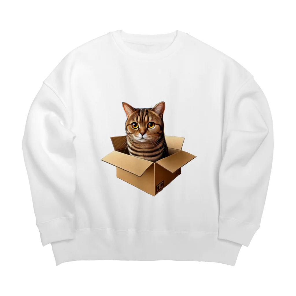 猫の小梅お嬢さんの小梅ちゃん　箱猫 Big Crew Neck Sweatshirt