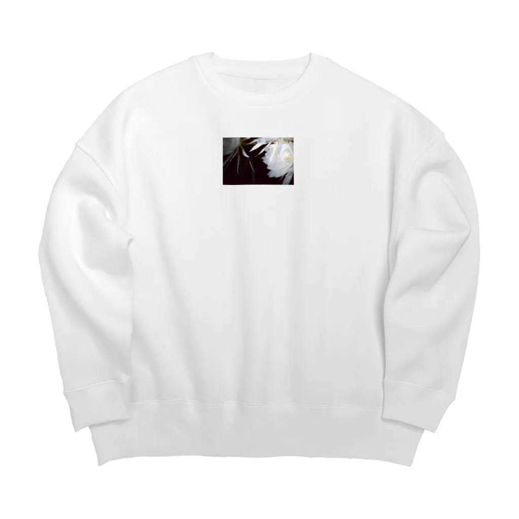 nuan.のげっかびじん Big Crew Neck Sweatshirt