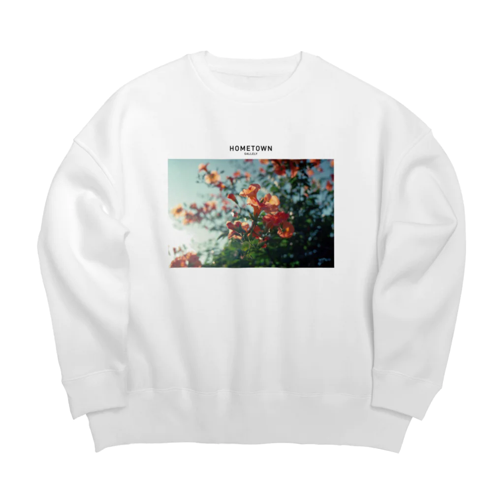 HOMETOWN GALLERYのHOMETOWN_GALLERY Big Crew Neck Sweatshirt