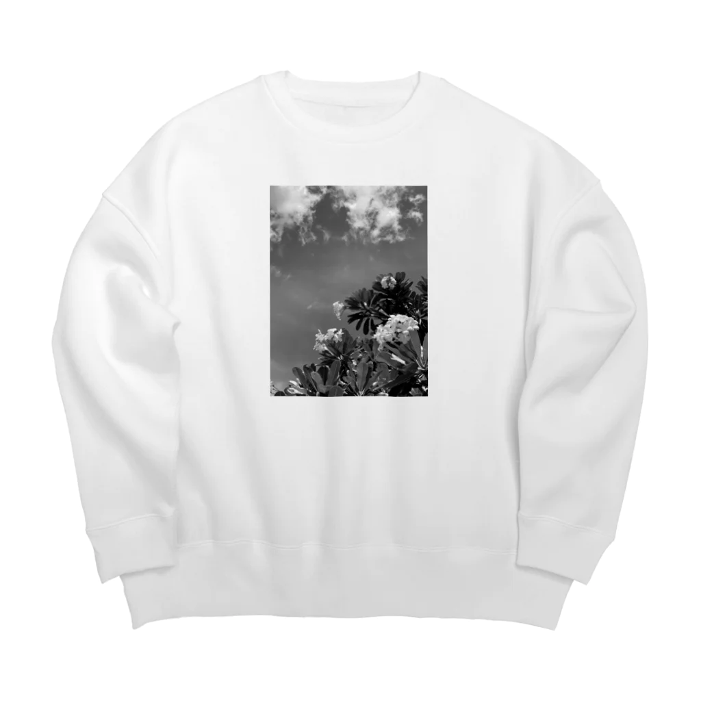 saugのsaug  Big Crew Neck Sweatshirt