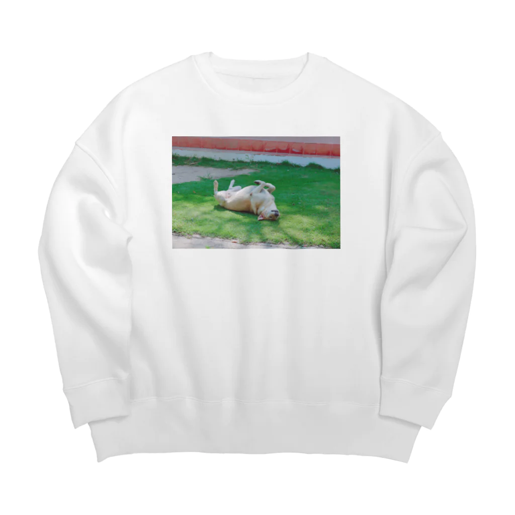 やくしんじ しんじの世界のノラ犬さんたち。（ひっくり返るえでぃしょん） Big Crew Neck Sweatshirt