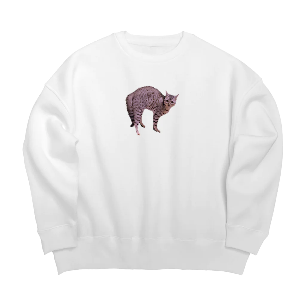 めぐりーぬのへんなかたちのねこ Big Crew Neck Sweatshirt