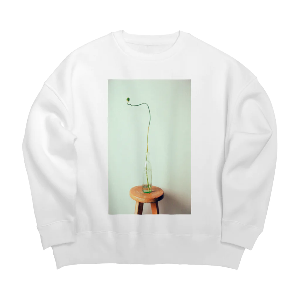 海野はなのねぎぼうず Big Crew Neck Sweatshirt