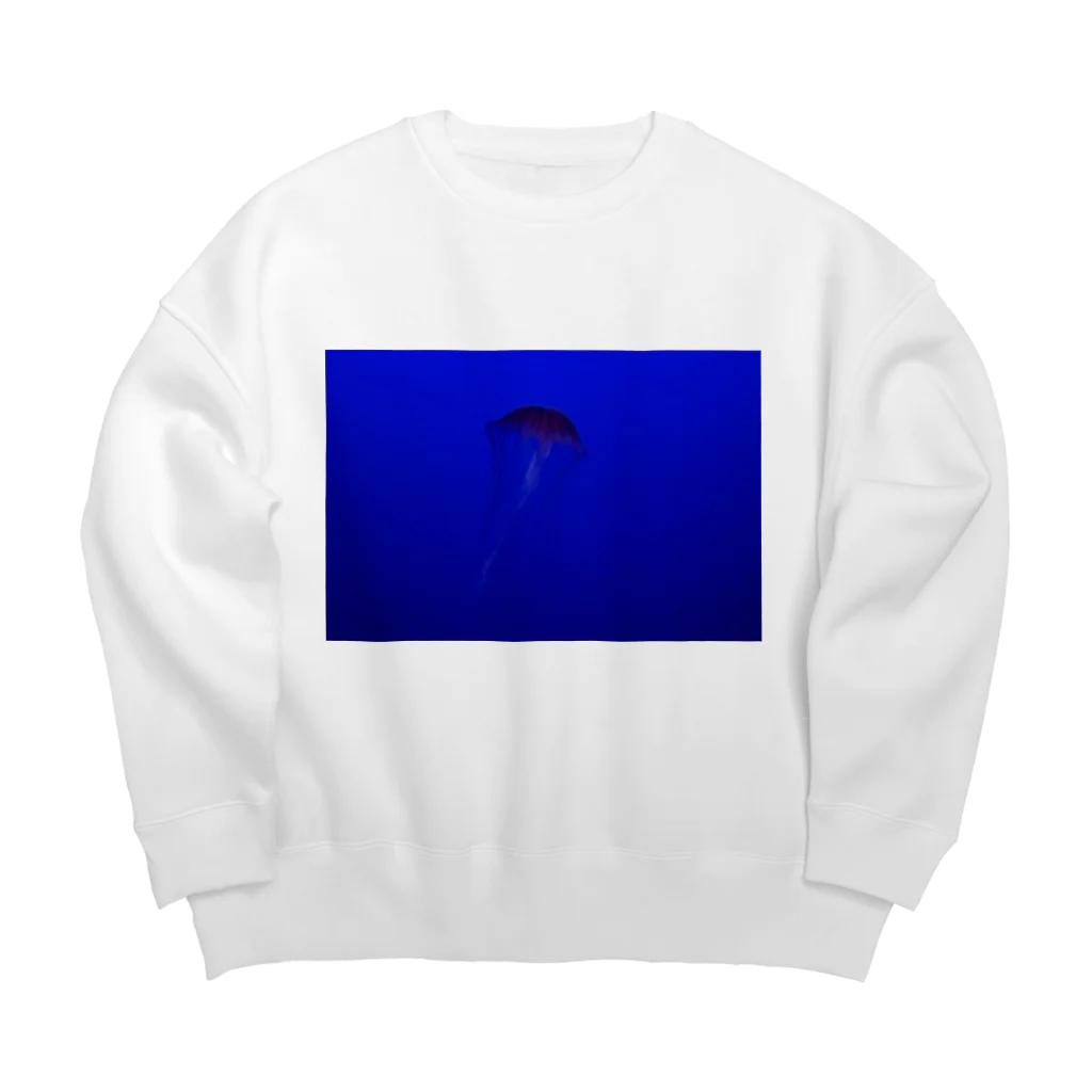 ha_naの青 Big Crew Neck Sweatshirt