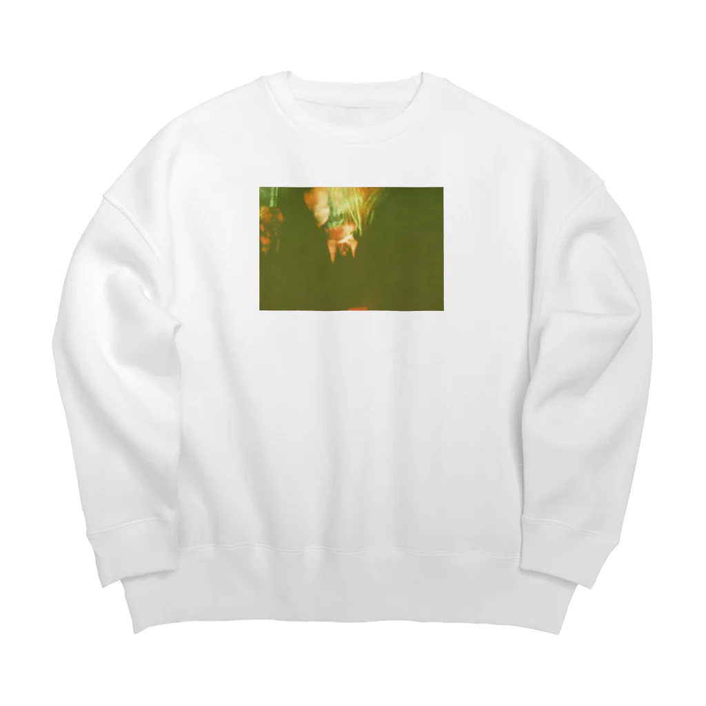 wa_d3300_の薔薇 Big Crew Neck Sweatshirt