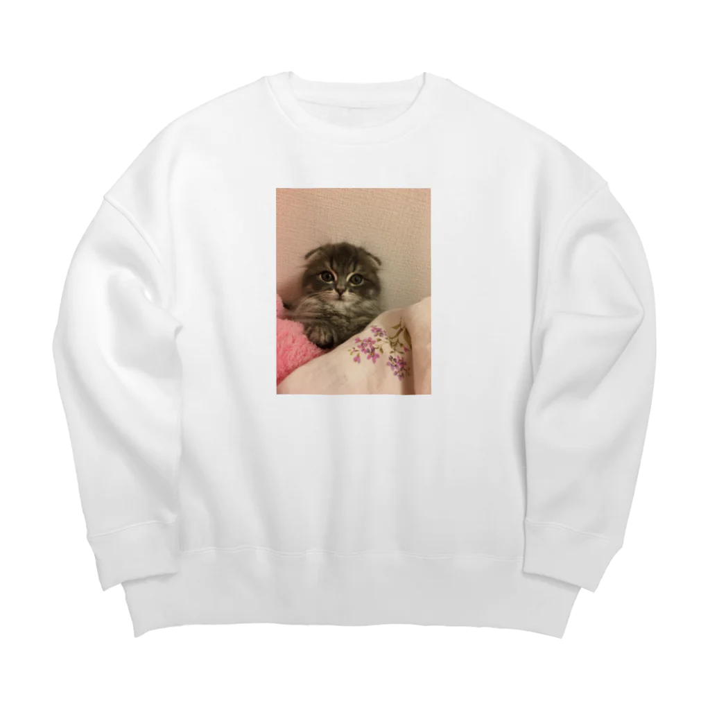 とらくん家のスコティッシュのとらくん Big Crew Neck Sweatshirt