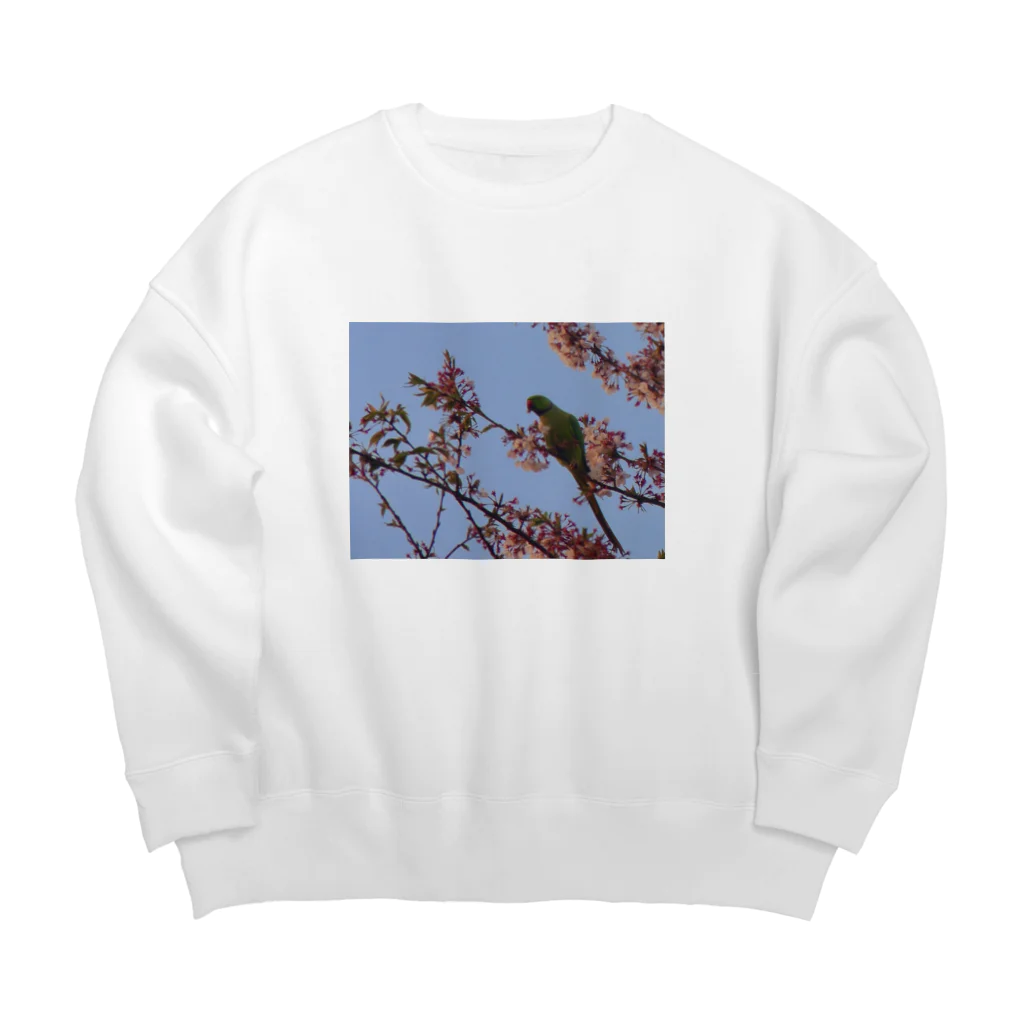 きしの春、桜とワカケホンセイ Big Crew Neck Sweatshirt