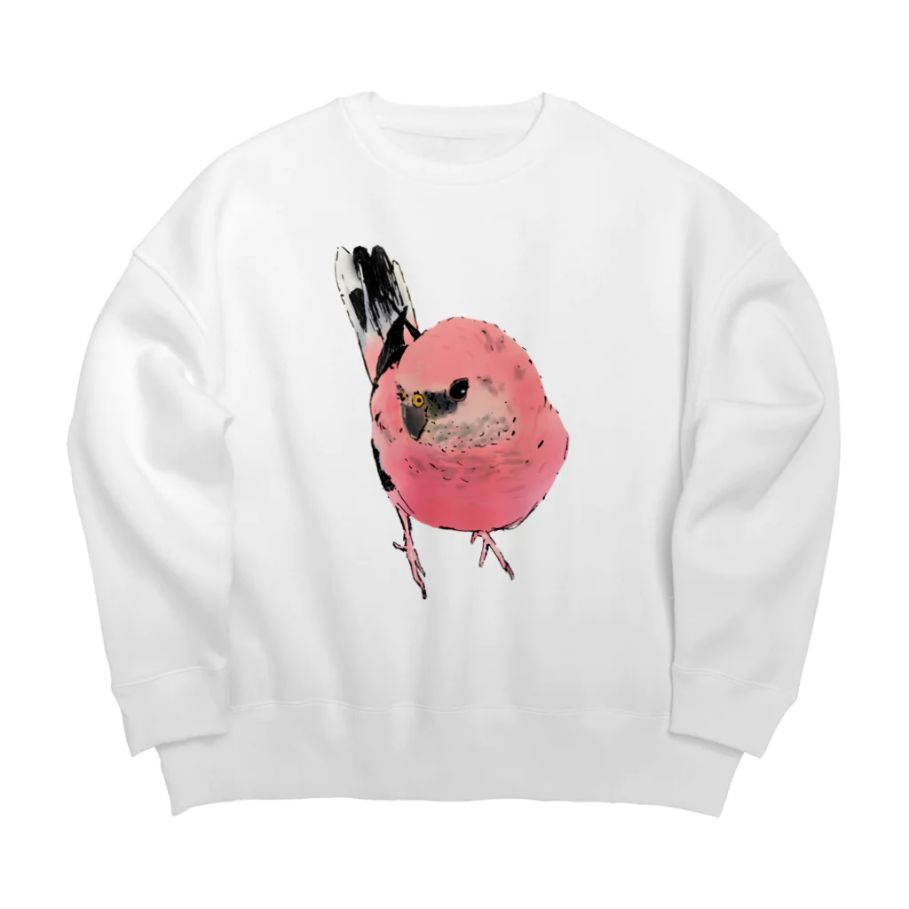 アキクサインコとウロコインコの見つめるアキクサインコ Big Crew Neck Sweatshirt