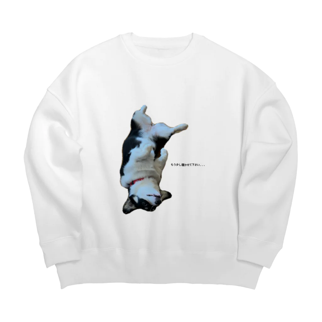 ぱんださん家の世界で1番可愛いお犬様 Big Crew Neck Sweatshirt