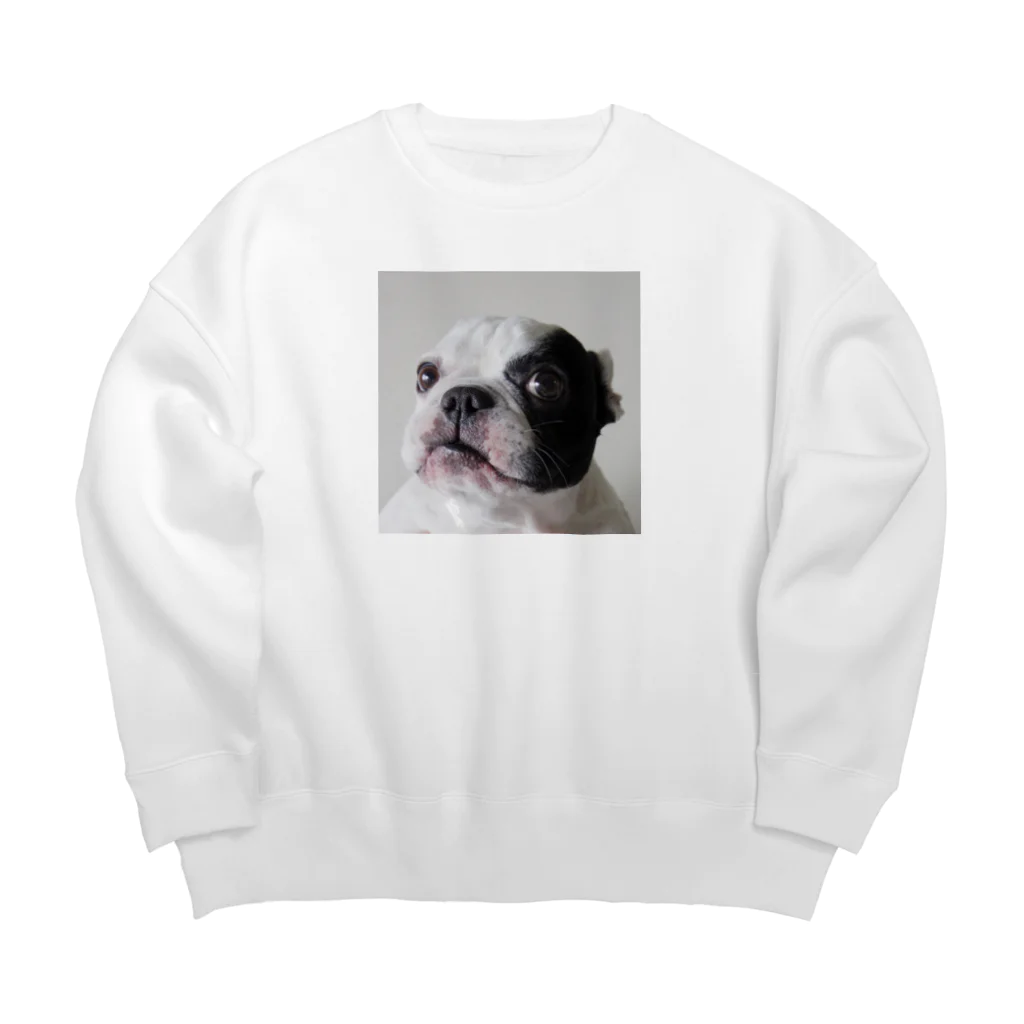 愛犬 コットンの愛犬 Big Crew Neck Sweatshirt