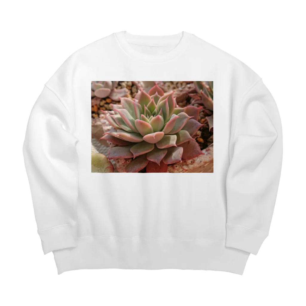 🌵たにくりーむ🍦の多肉植物 Big Crew Neck Sweatshirt