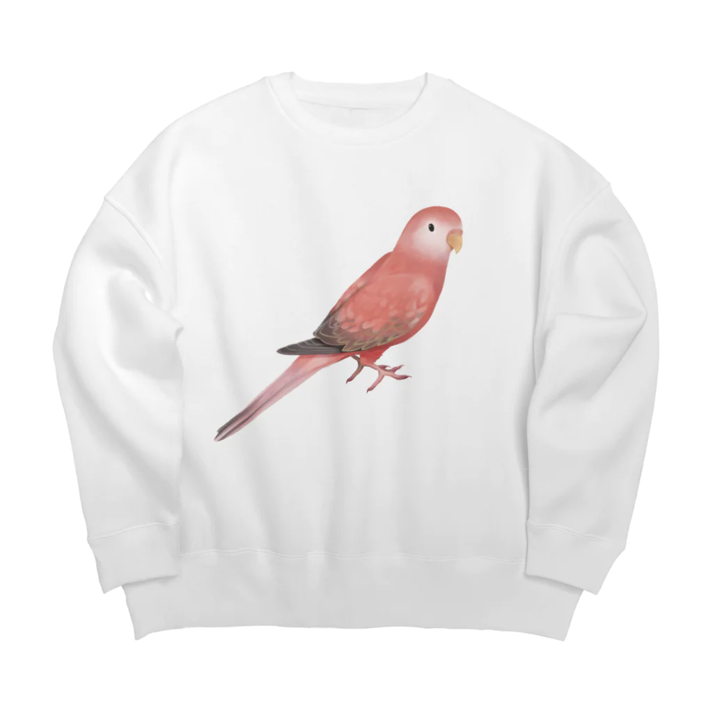 まめるりはことりのアキクサインコ　ピンク【まめるりはことり】 Big Crew Neck Sweatshirt