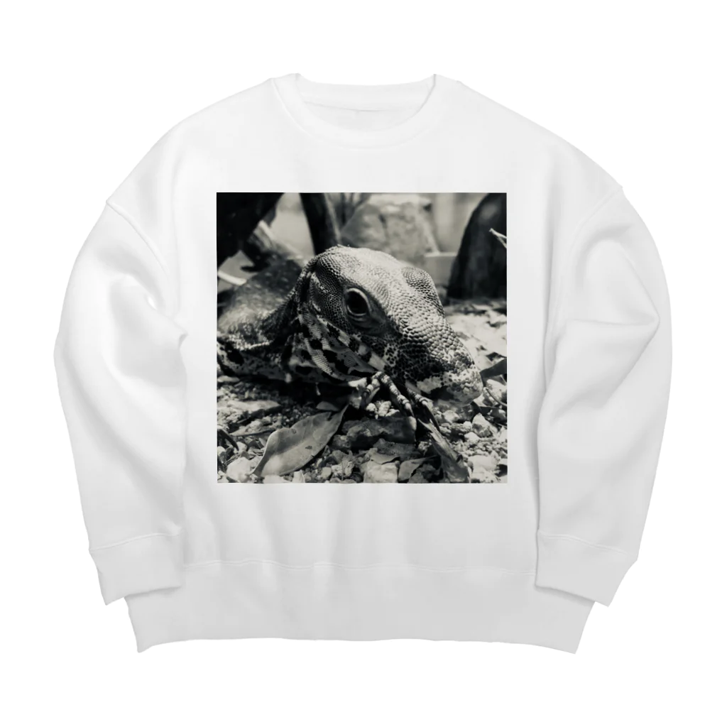 STUDIO PINECORNのCOMODO Big Crew Neck Sweatshirt