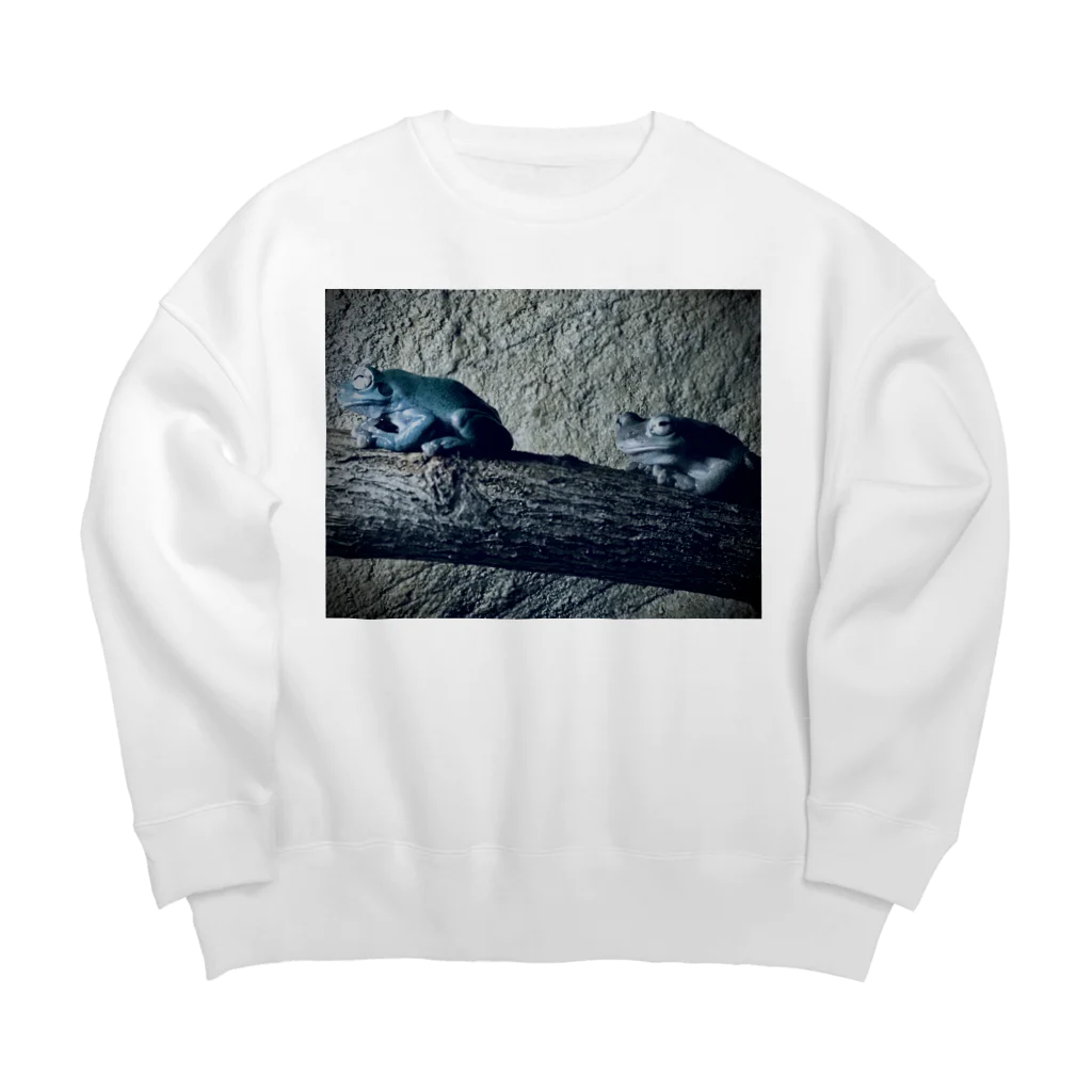 STUDIO PINECORNのFROGGY Big Crew Neck Sweatshirt