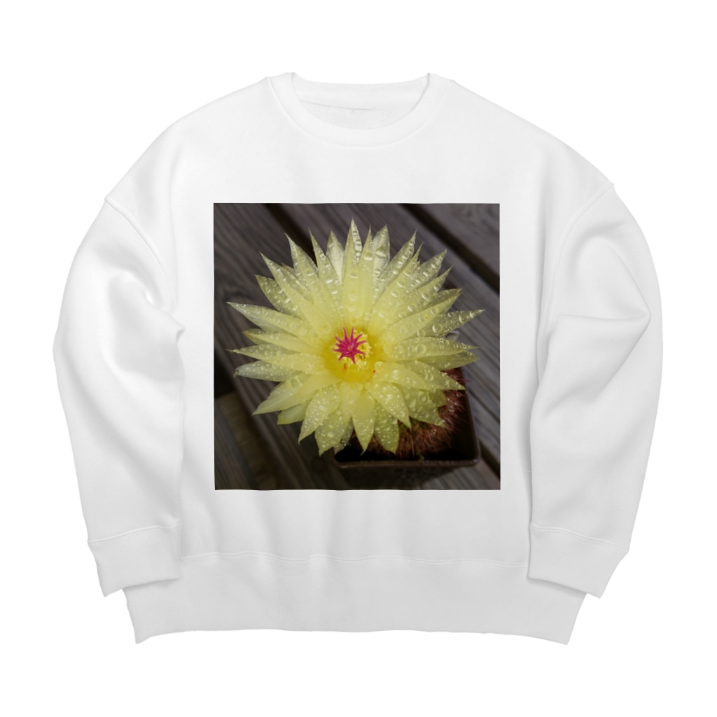 でおきしりぼ子のサボテンの花 Big Crew Neck Sweatshirt