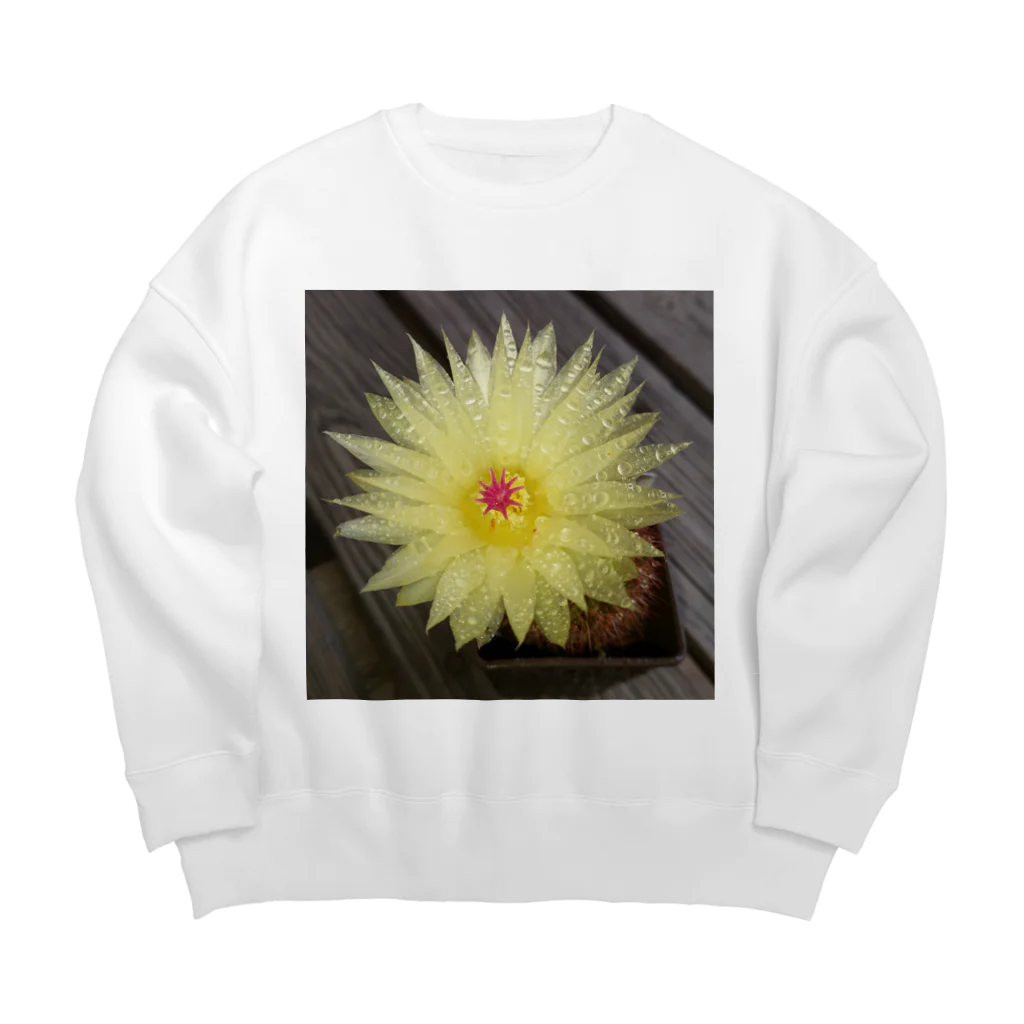 でおきしりぼ子の実験室のサボテンの花 Big Crew Neck Sweatshirt