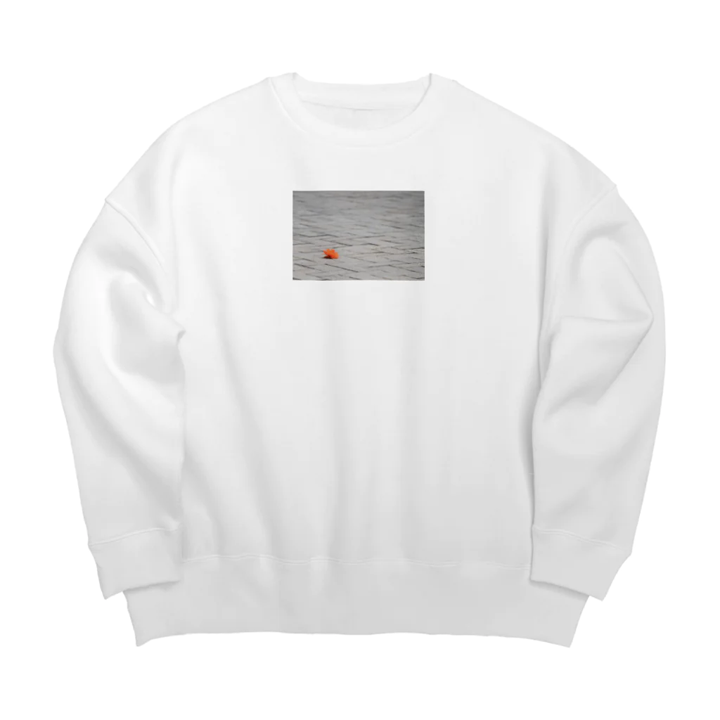 flower_basketの飽きたからって捨てるのね Big Crew Neck Sweatshirt