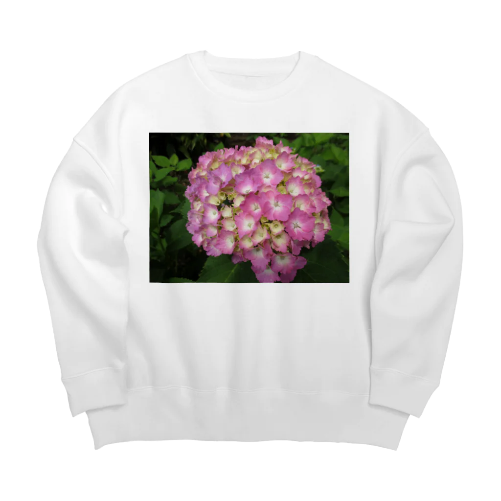 Dreamscape(LUNA)の自然とうっとり・・・ Big Crew Neck Sweatshirt