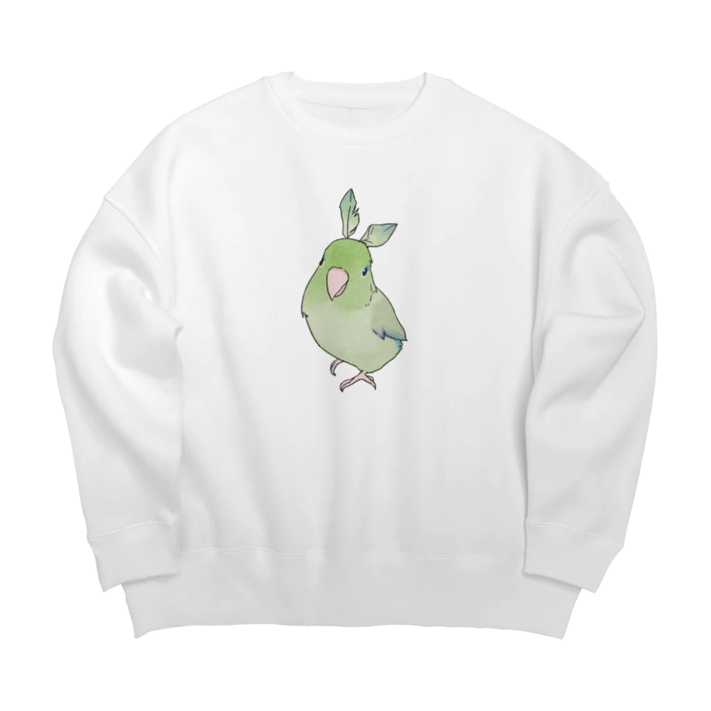 まめるりはことりのお羽飾り　マメルリハちゃん【まめるりはことり】 Big Crew Neck Sweatshirt