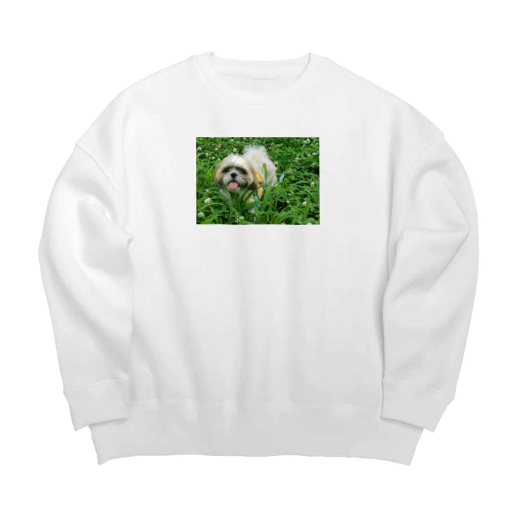 こがちゃんの草原のレオくん Big Crew Neck Sweatshirt