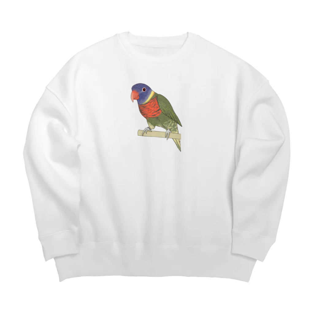 まめるりはことりの色合いが綺麗なゴシキセイガイインコちゃん【まめるりはことり】 Big Crew Neck Sweatshirt