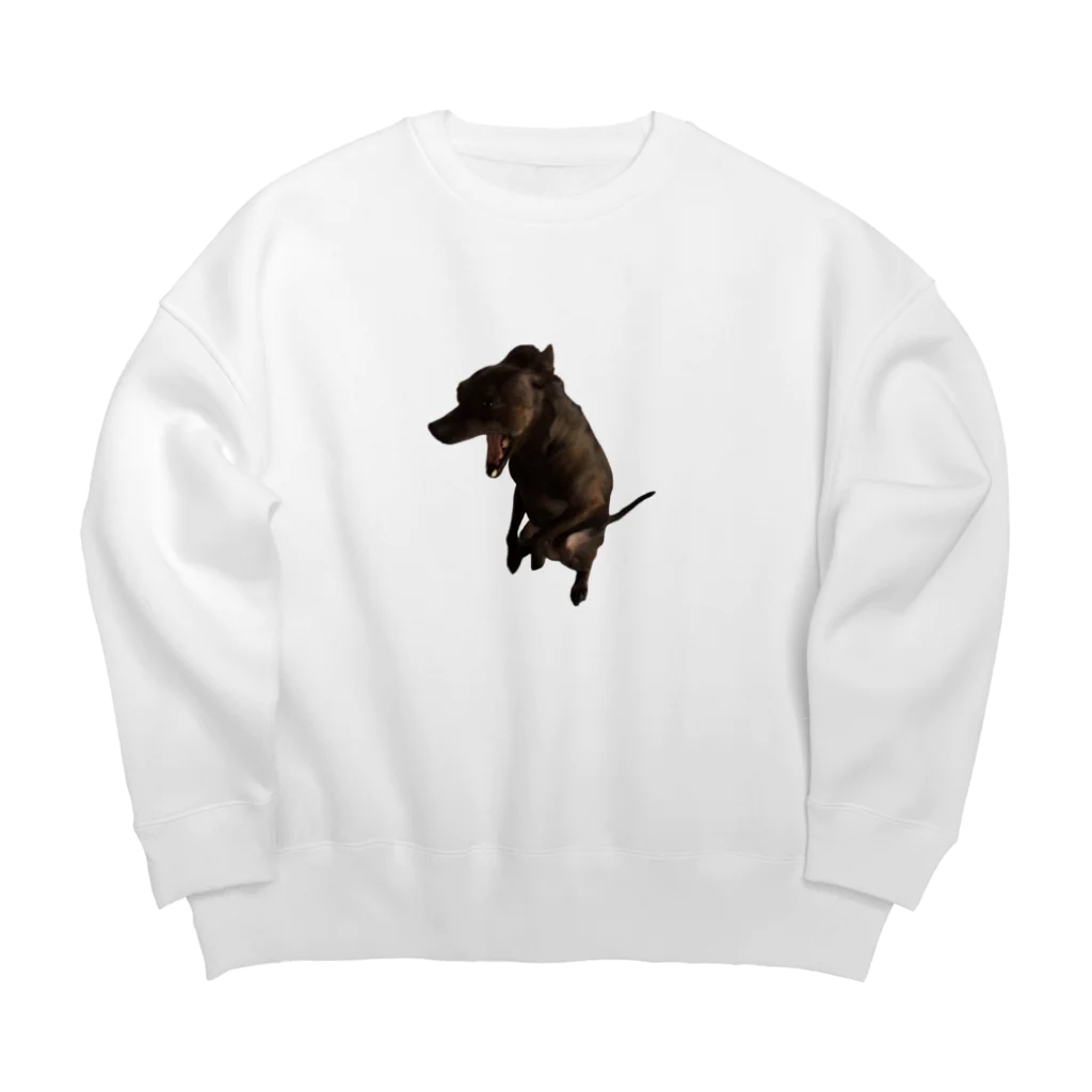 松若園芸の実家の犬 Big Crew Neck Sweatshirt