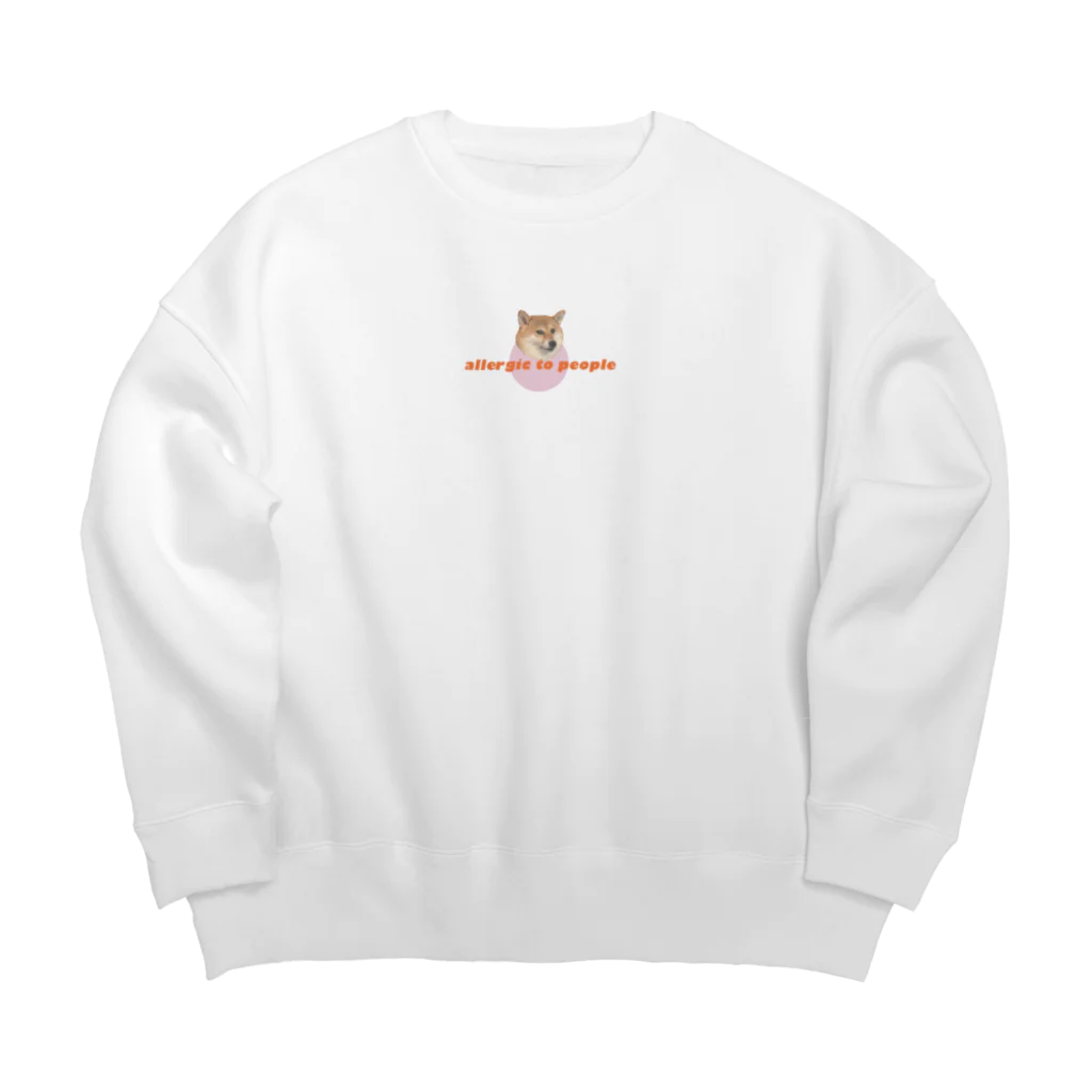 めぞんdeふじこの人間アレルギーの柴犬 Big Crew Neck Sweatshirt