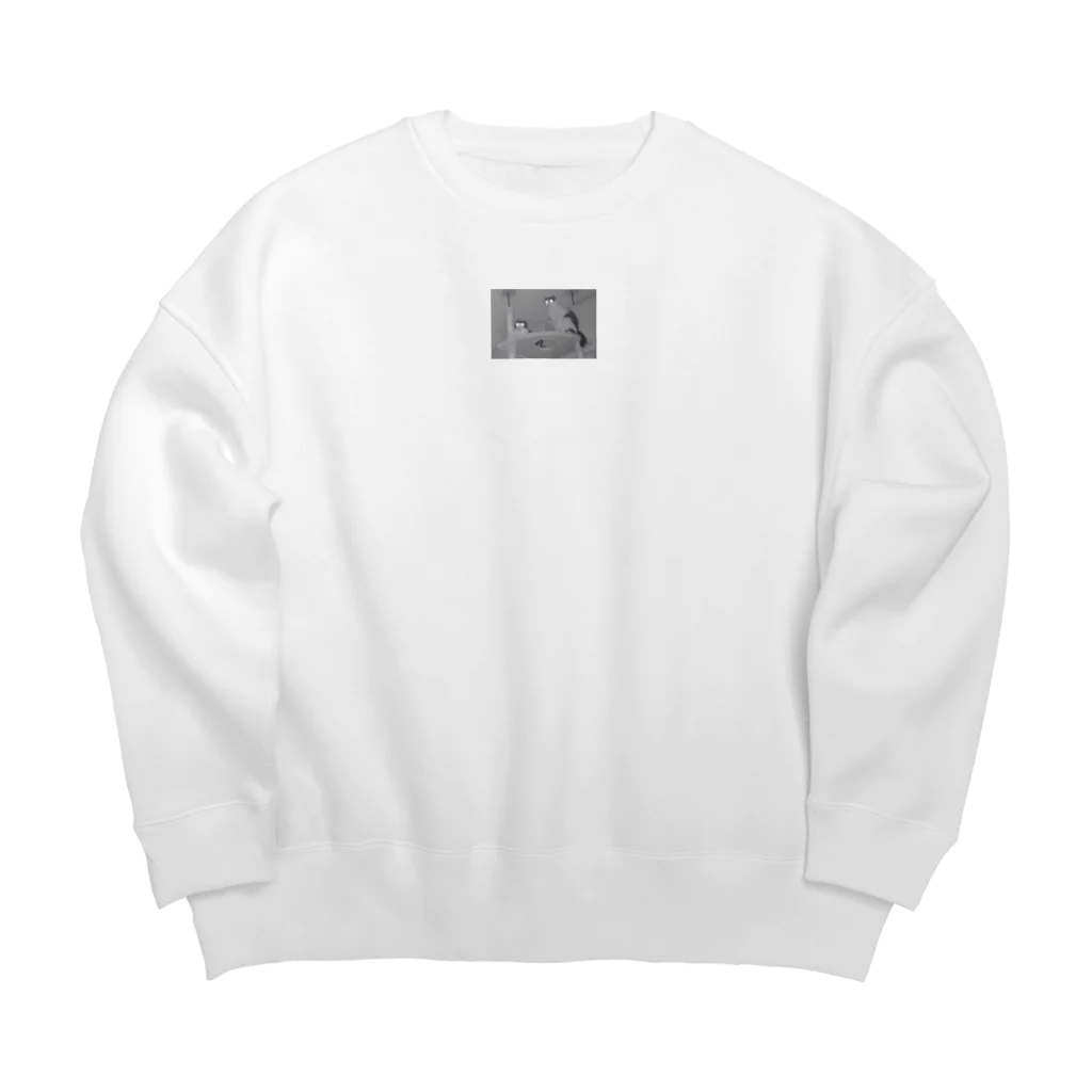 ハチワレくるくる猫兄弟の光る猫兄弟 Big Crew Neck Sweatshirt