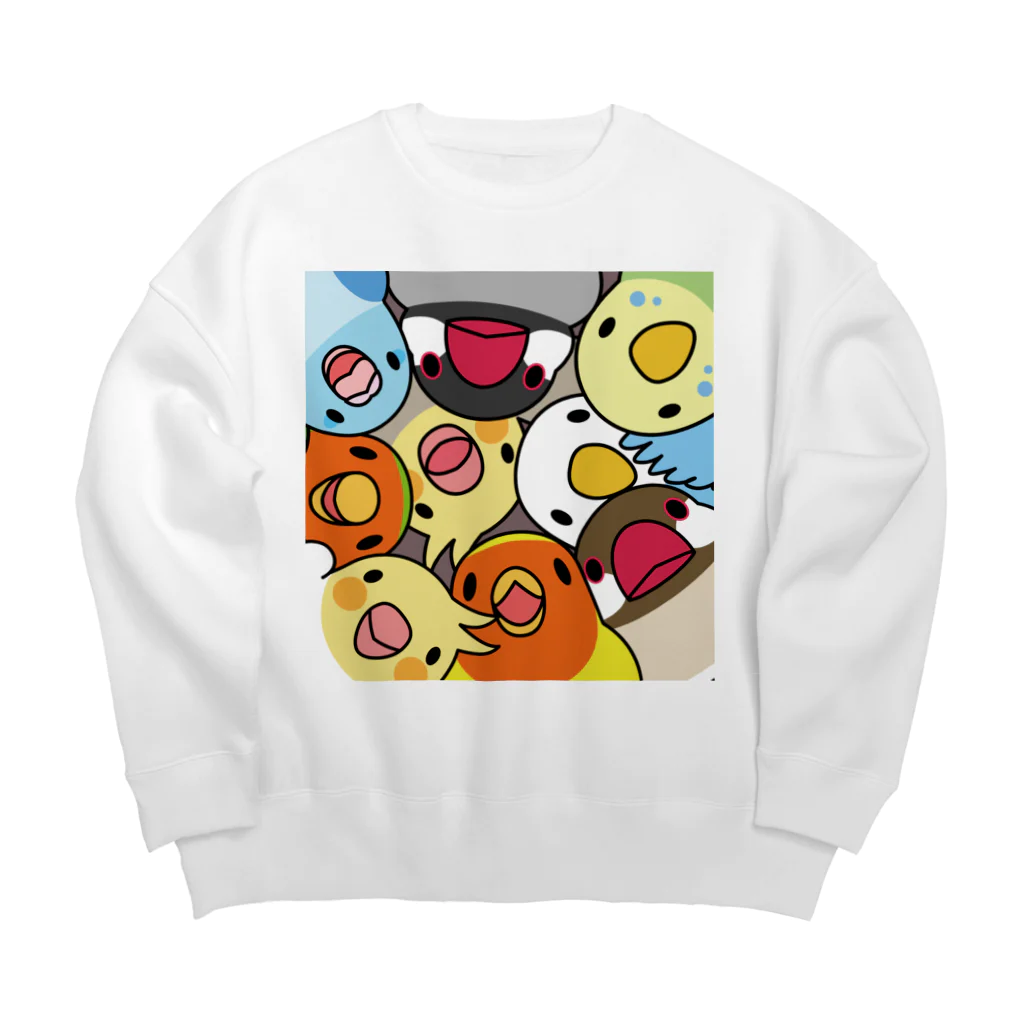 まめるりはことりのみっちりむっちり過密鳥まみれさん【まめるりはことり】 Big Crew Neck Sweatshirt