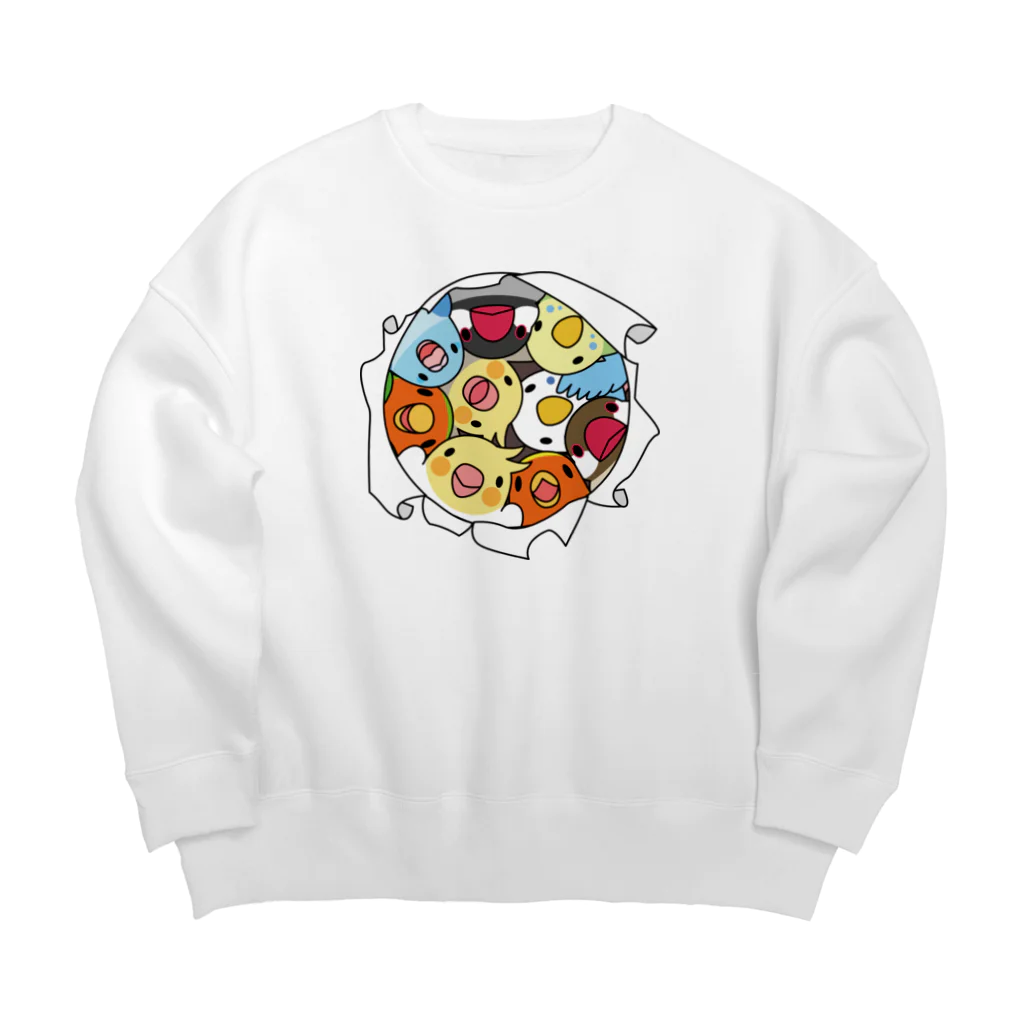 まめるりはことりの三密です！むちむち鳥まみれ【まめるりはことり】 Big Crew Neck Sweatshirt